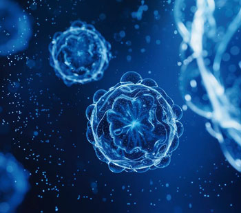 Third-generation super immunotherapy, iNKT