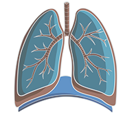 Lung cancer