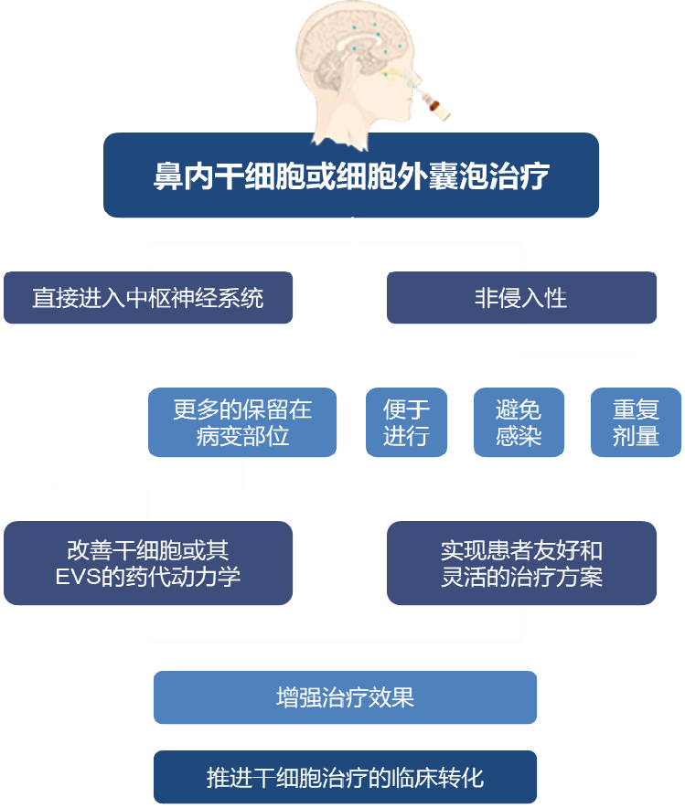 ny28_296817.png image.png