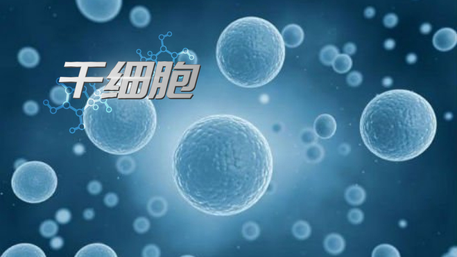 Why is the "source of life" for human anti-aging indispensable? Why is Boao Lecheng the preferred choice?